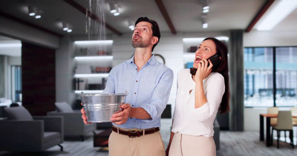 Best Water Damage Assessment and Inspection in USA